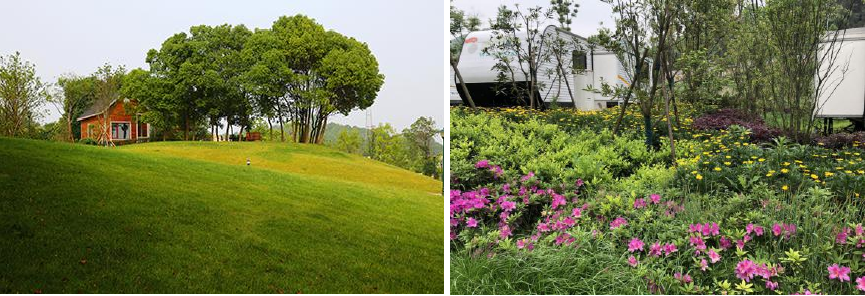 蕪湖龍山房車營地實景圖